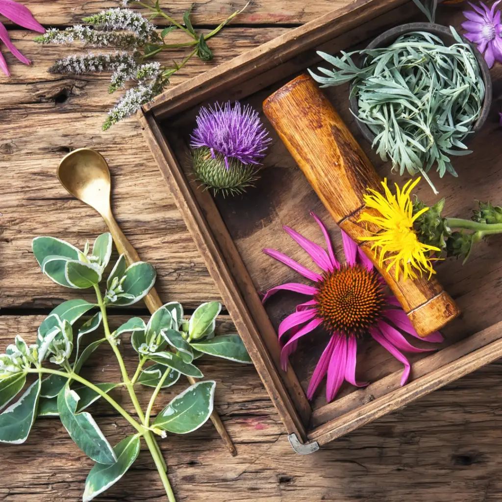 Herbal Fragrance